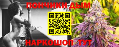 шишки Тара