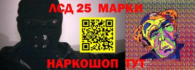 шишки Тара