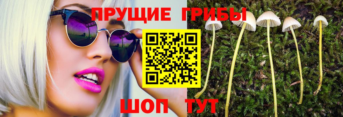 Псилоцибиновые грибы ЛСД  Вход с VPN  Аргун 