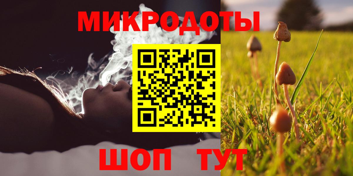 Галлюциногенные грибы Psilocybe Аргун